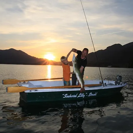 丽丽湖畔酒店 酒店 3*