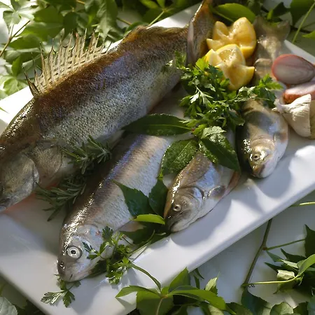 丽丽湖畔酒店 酒店