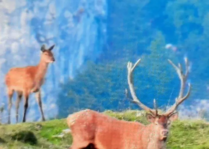 Seehotel Lilly 호텔 3*