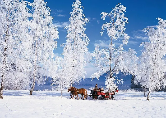 Seehotel Lilly 호텔 스트로블