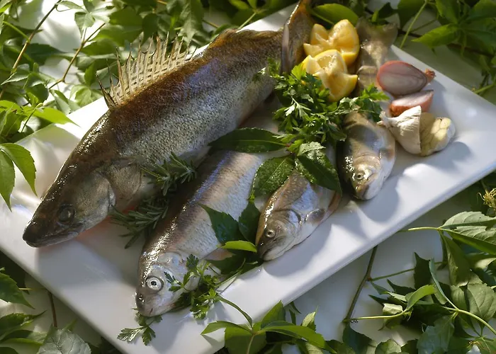 Seehotel Lilly 호텔